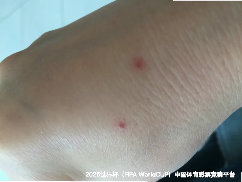使用方法与注意事项